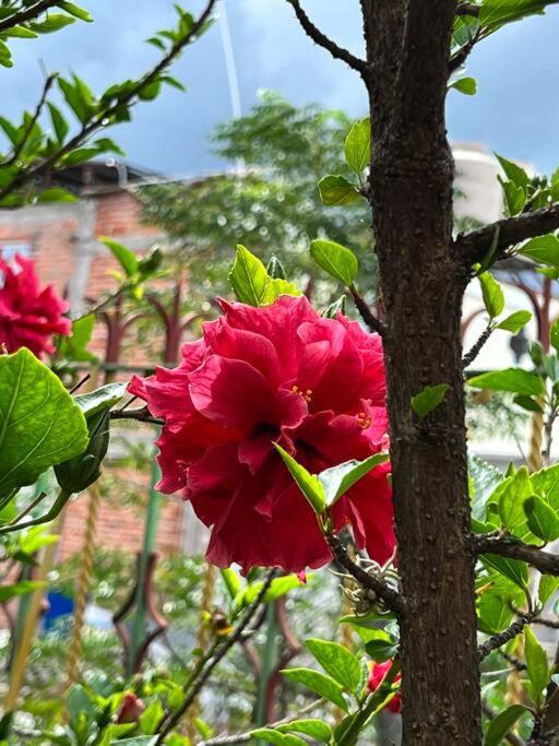 Olivos Habitacion Cuadruple เตกิซเกียปัน ภายนอก รูปภาพ